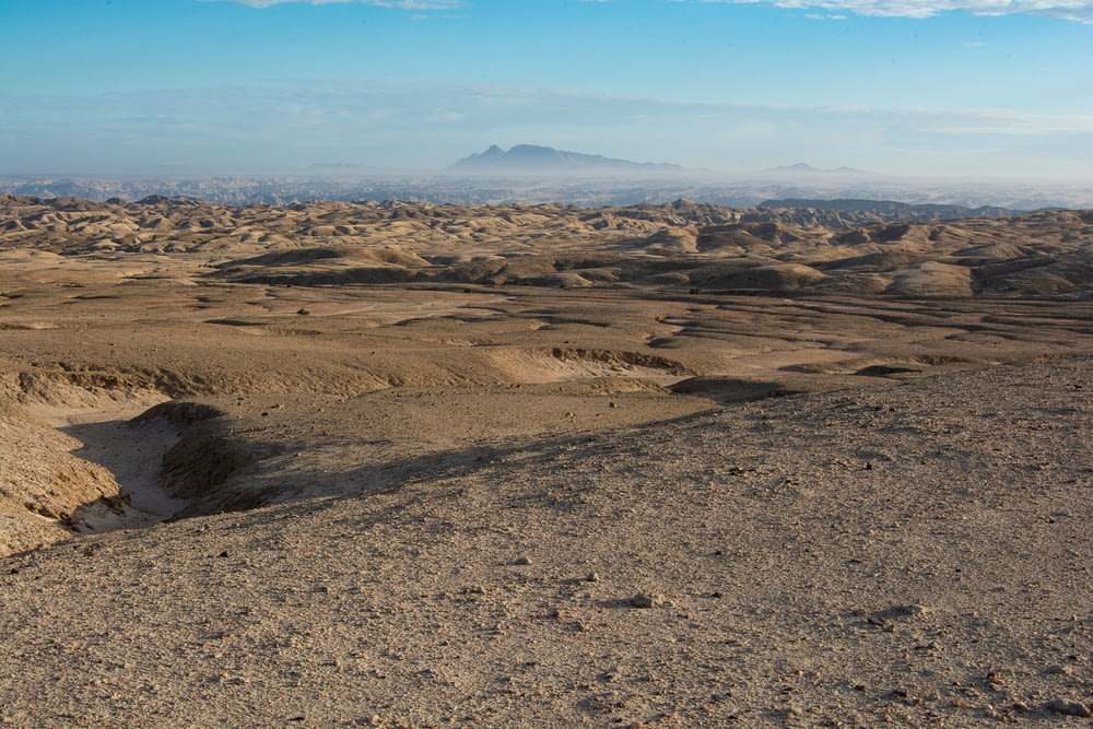 a view of a desert with a mountain in the distance
