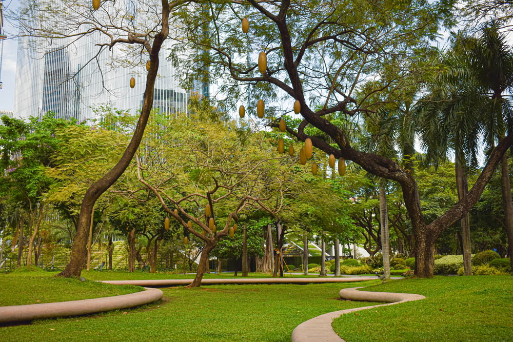 a lush green park filled with lots of trees
