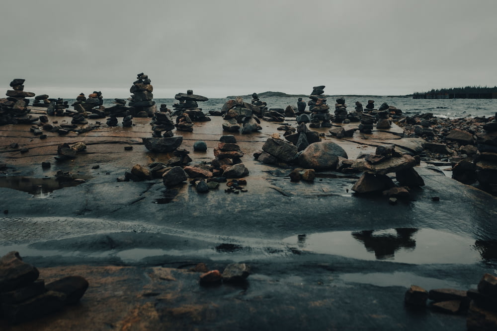 a group of rocks sitting on top of a rocky beach