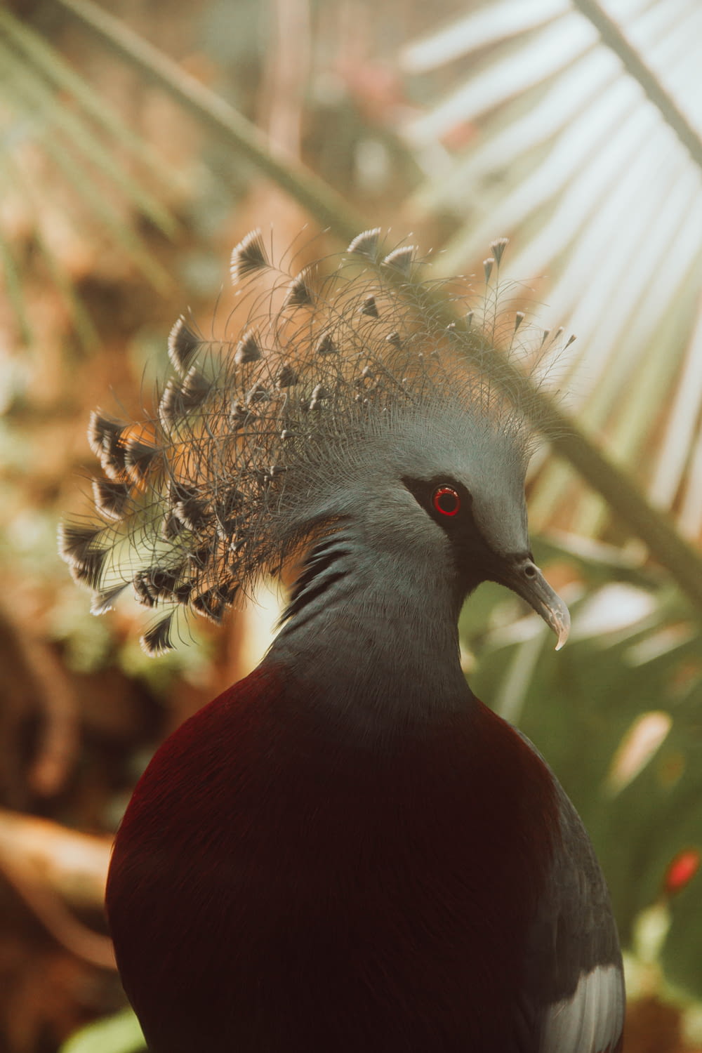 a bird with a pine cone on its head