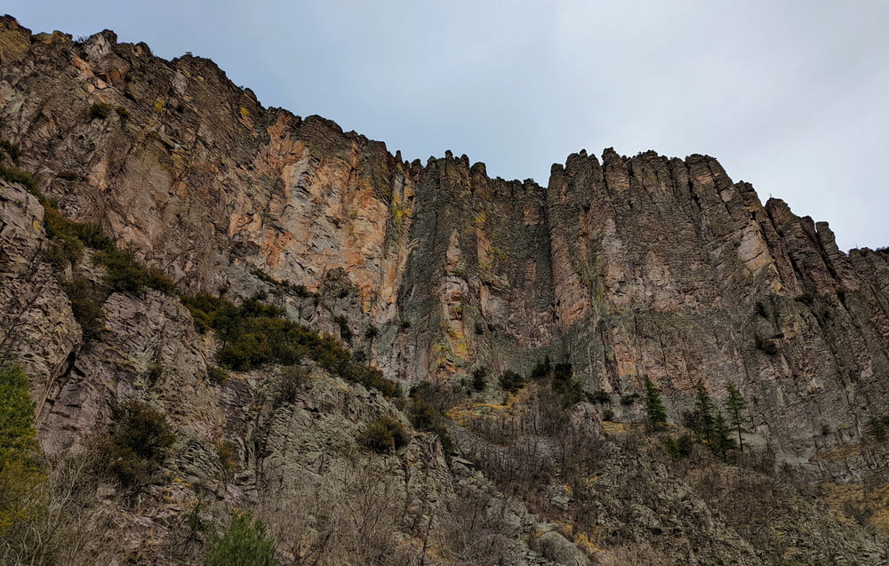 a rocky cliff with trees