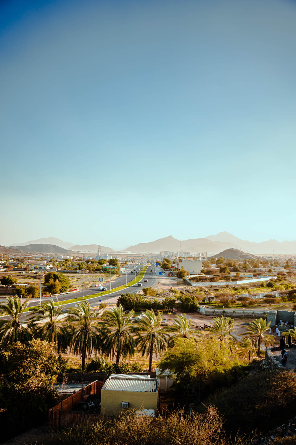 a view of a city with palm trees and mountains in the background