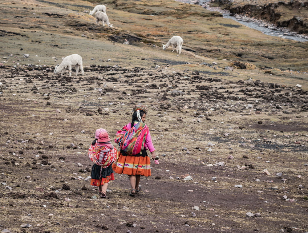 a woman and child are walking through a field with sheep