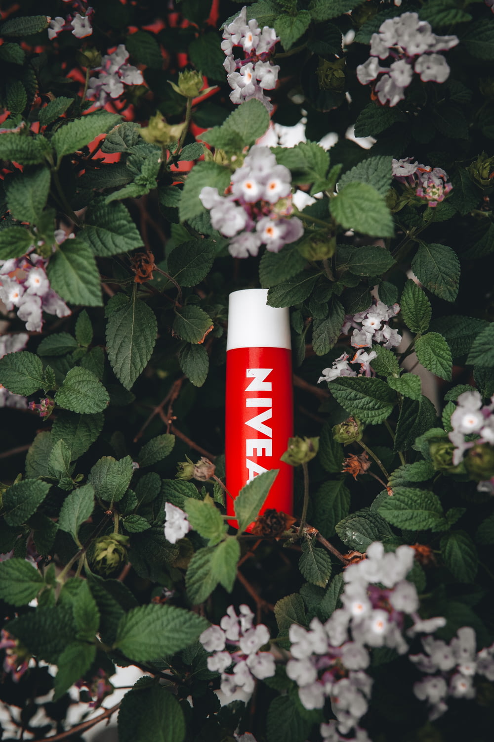 a tube of lip bale sitting in a bush of flowers
