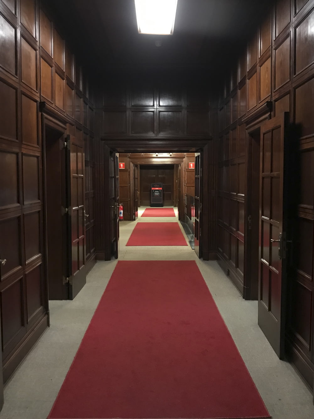a long hallway with red carpet and wooden doors