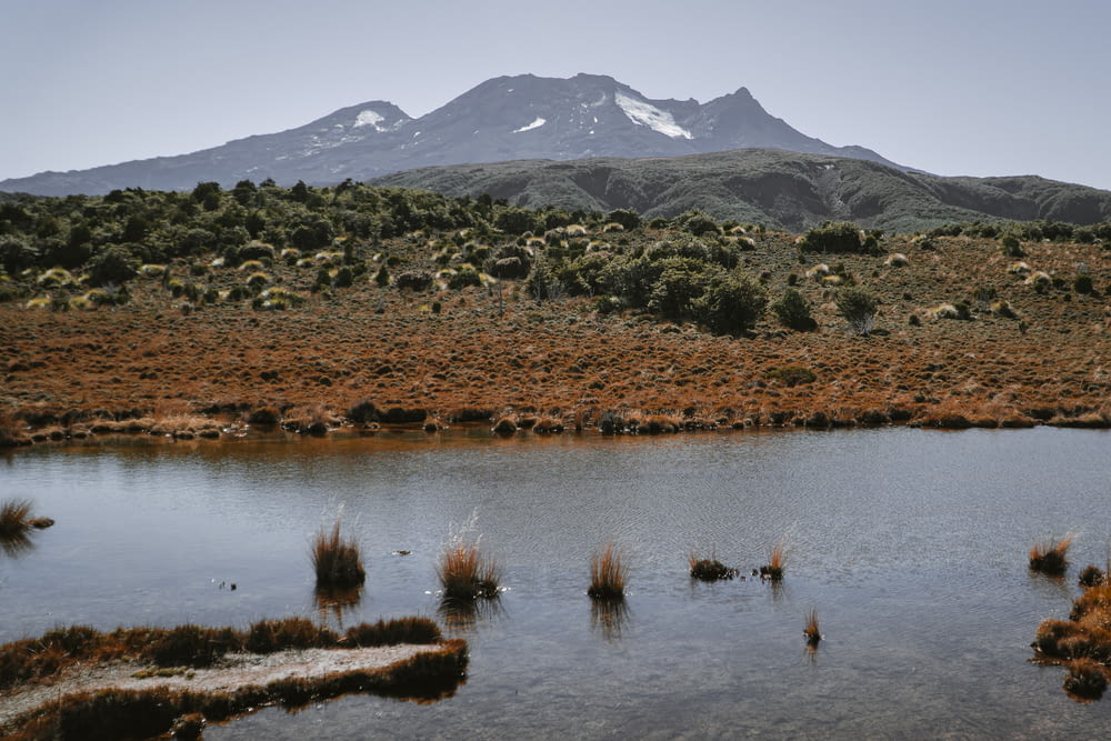 a lake surrounded by grass and a mountain in the background