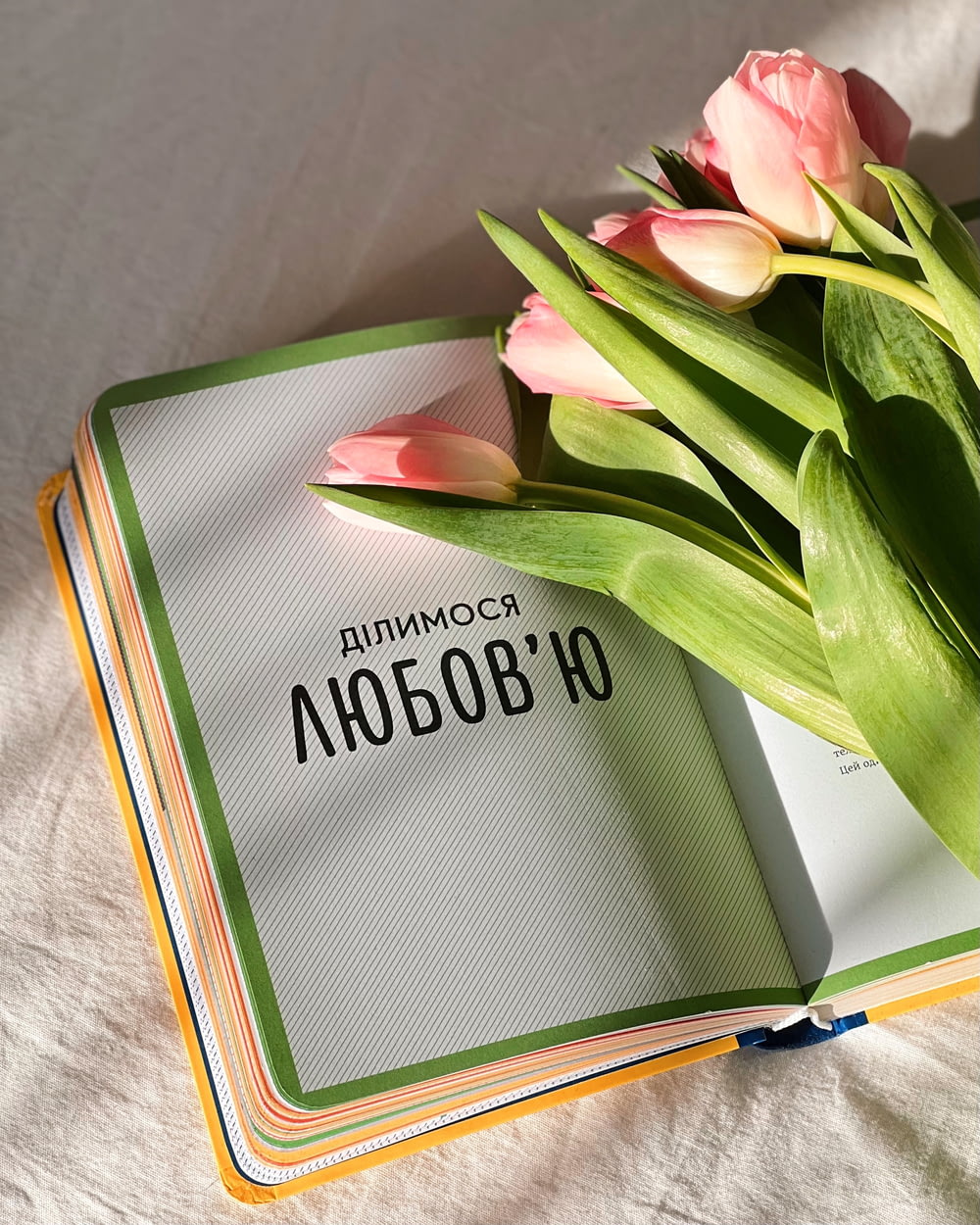 um buquê de tulipas sentado em cima de um livro