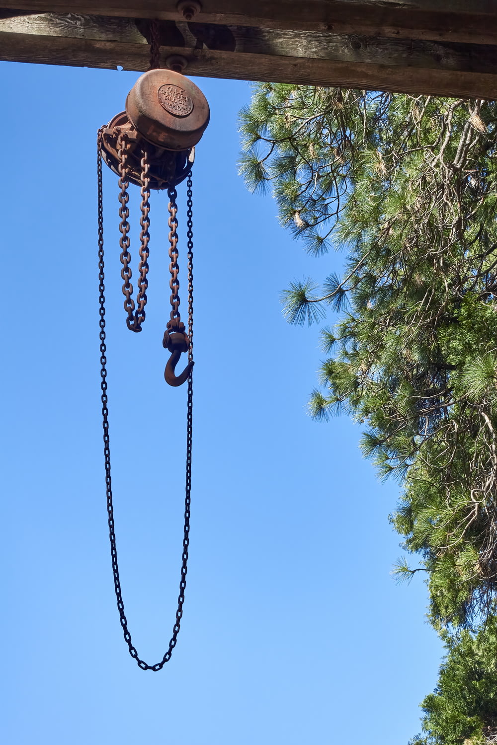 a chain hoist attached to a pine tree