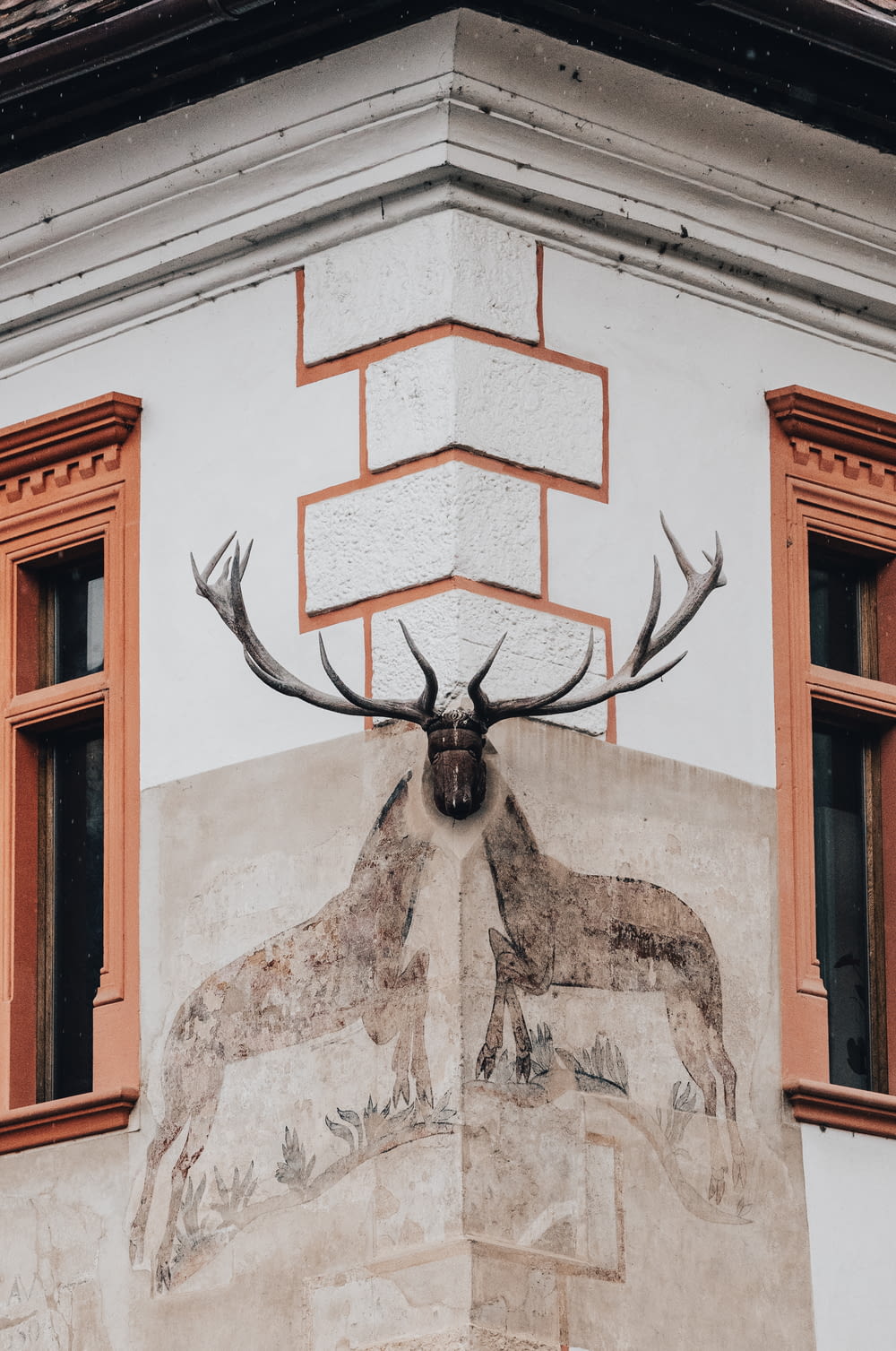 a deer head mounted to the side of a building
