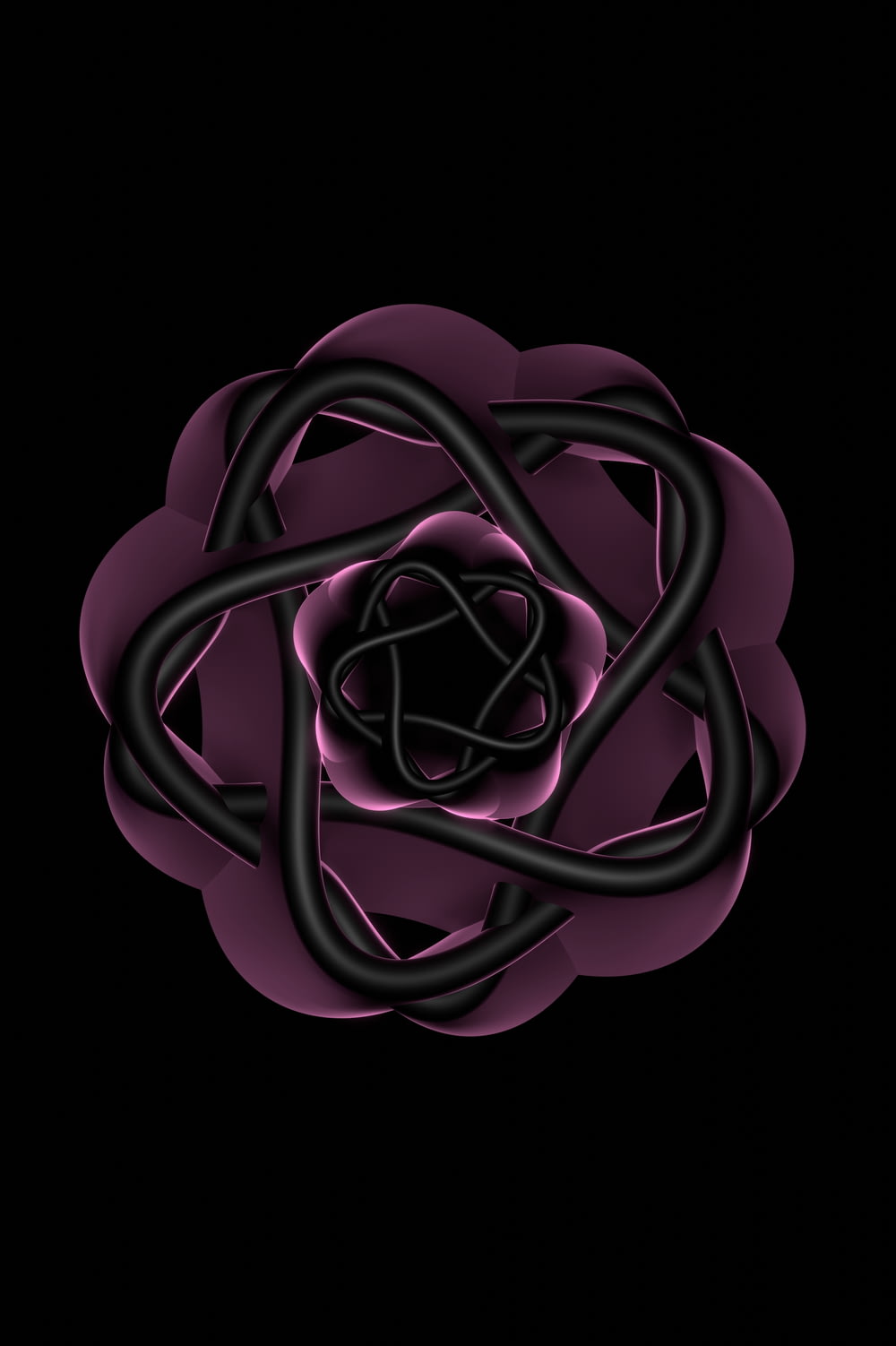 a black and purple flower on a black background