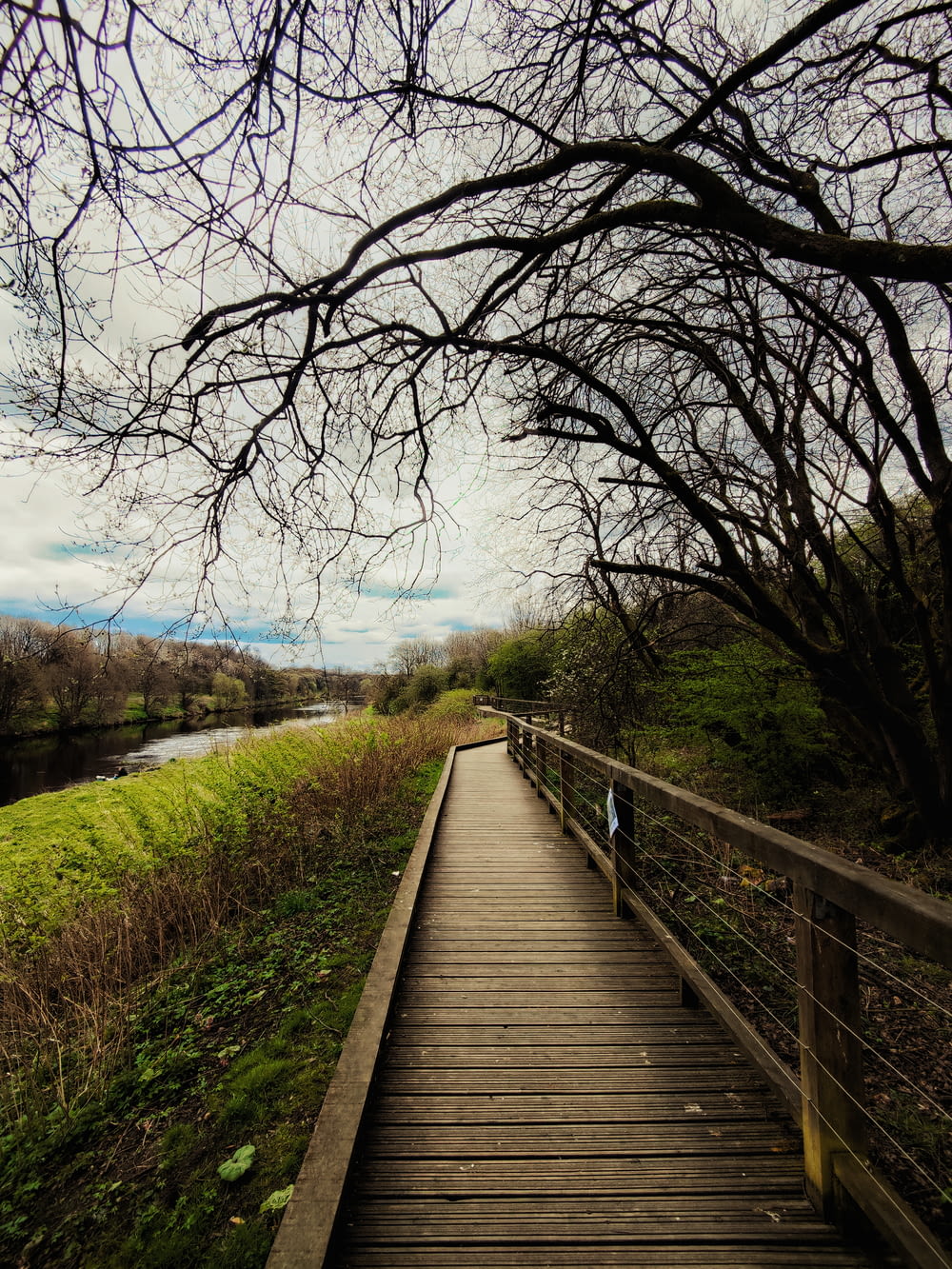 a wooden walkway next to a body of water