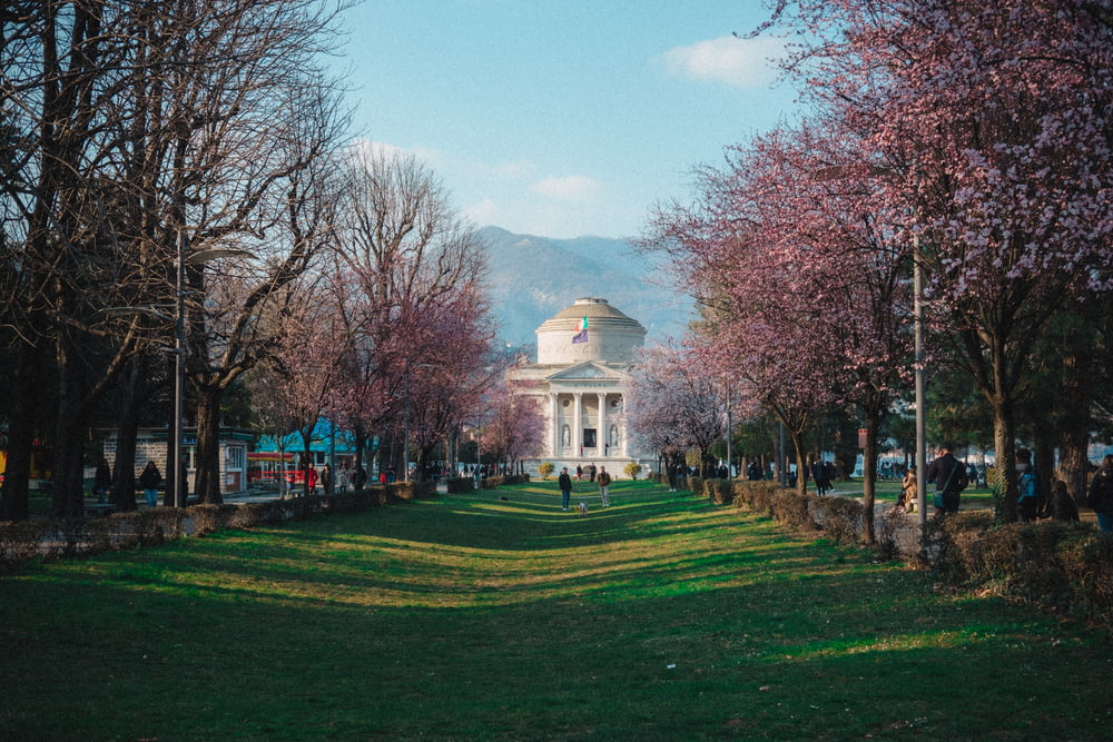 a building with a dome surrounded by trees