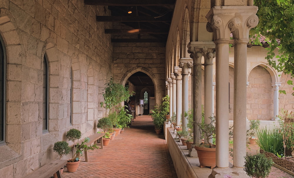 a walkway lined with potted plants next to a stone building