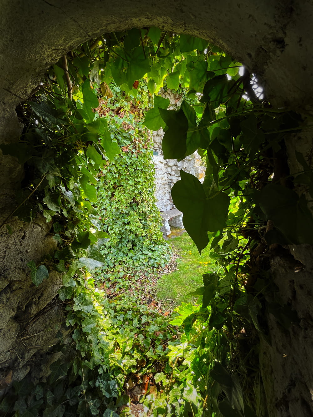 a stone archway with plants growing on it