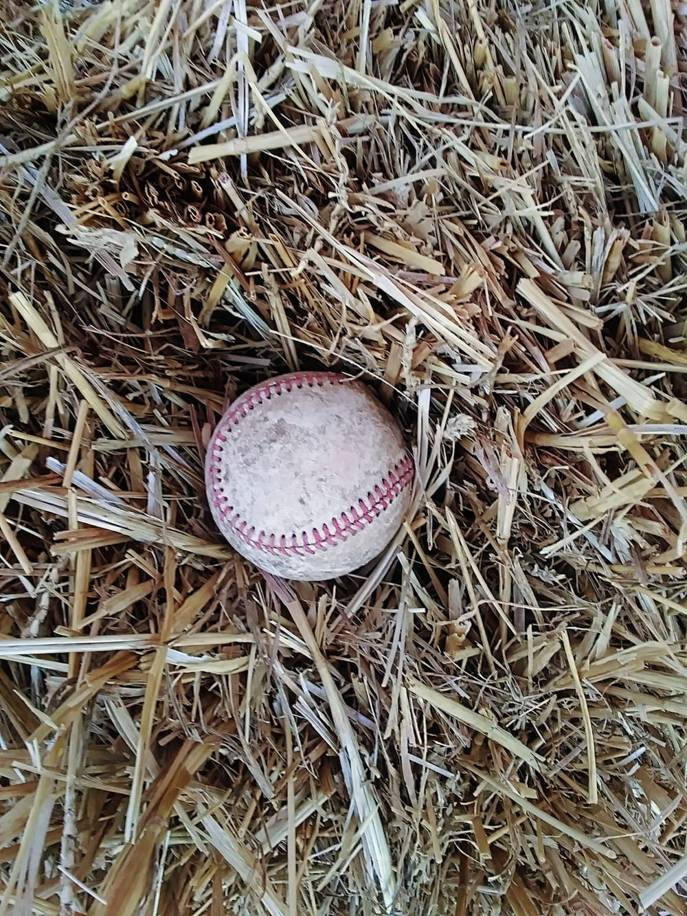 a baseball in the grass