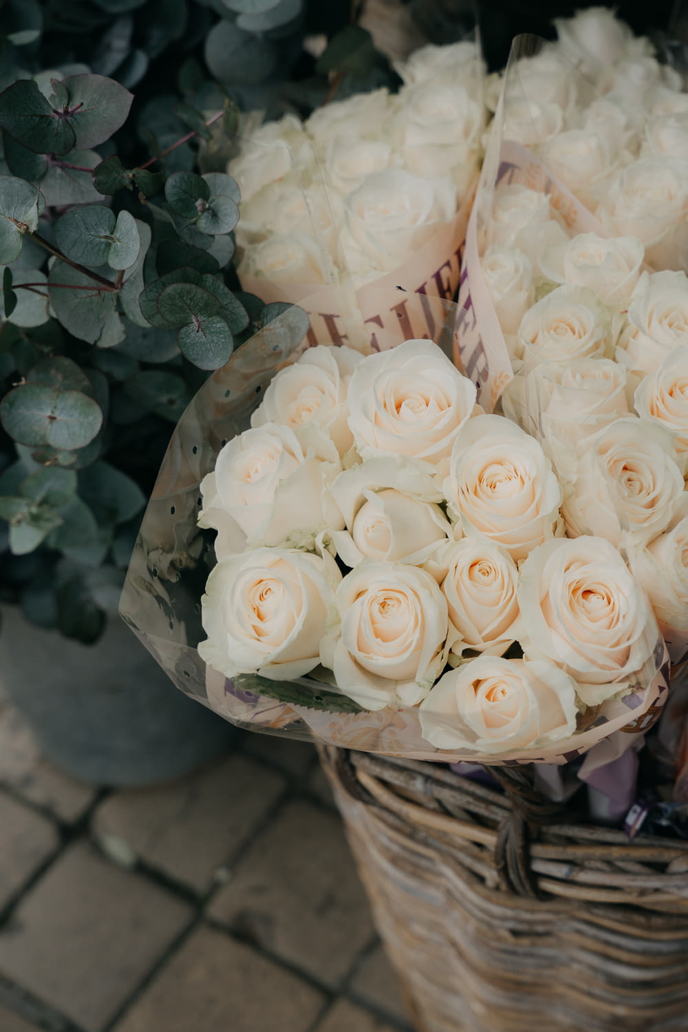 a basket of white roses