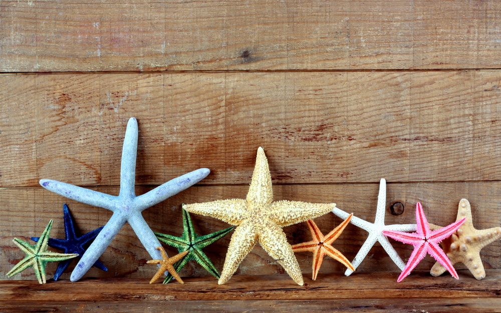Un grupo de pequeños objetos en forma de estrella sobre una superficie de madera