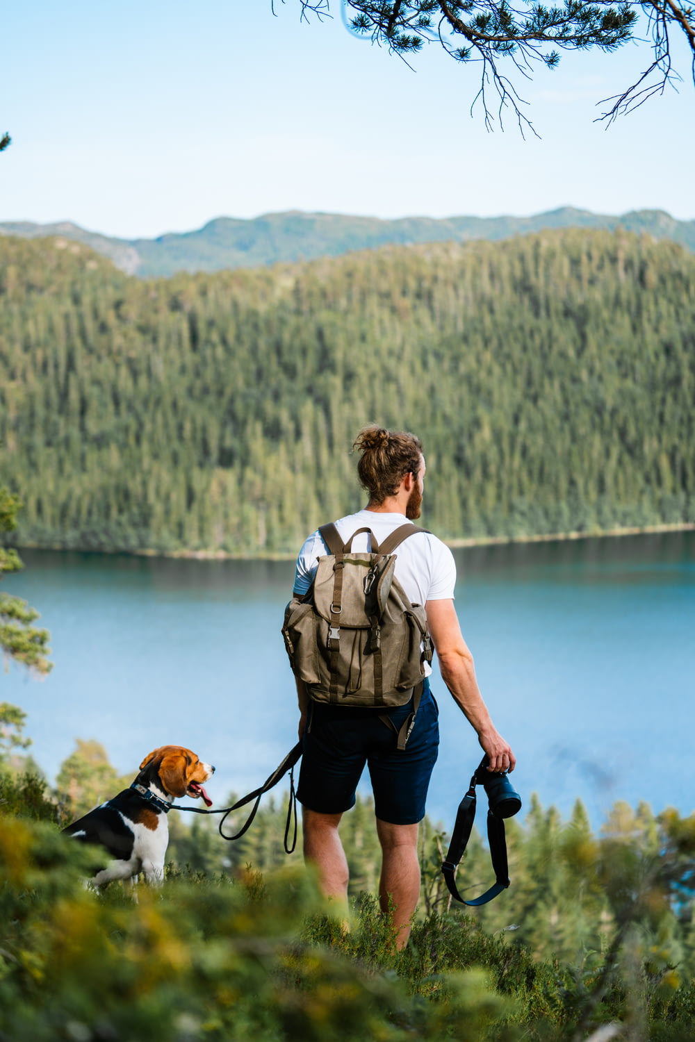 a person with a dog on a leash by a lake