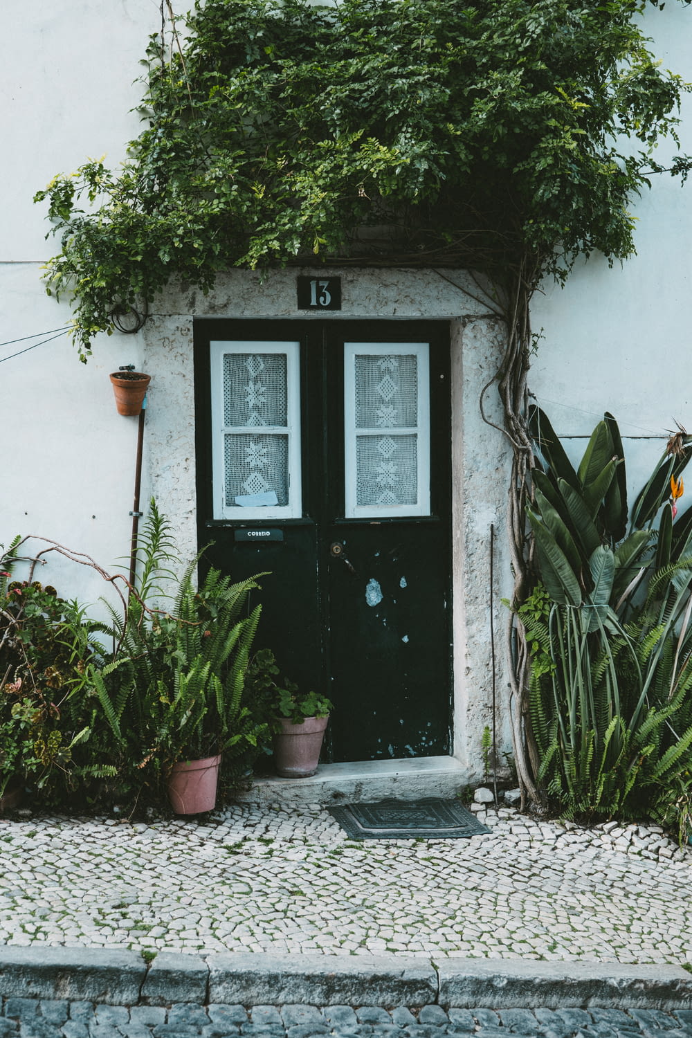 a house with a black door surrounded by plants