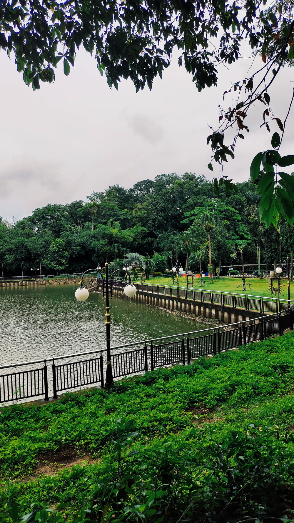 a large body of water sitting next to a lush green park