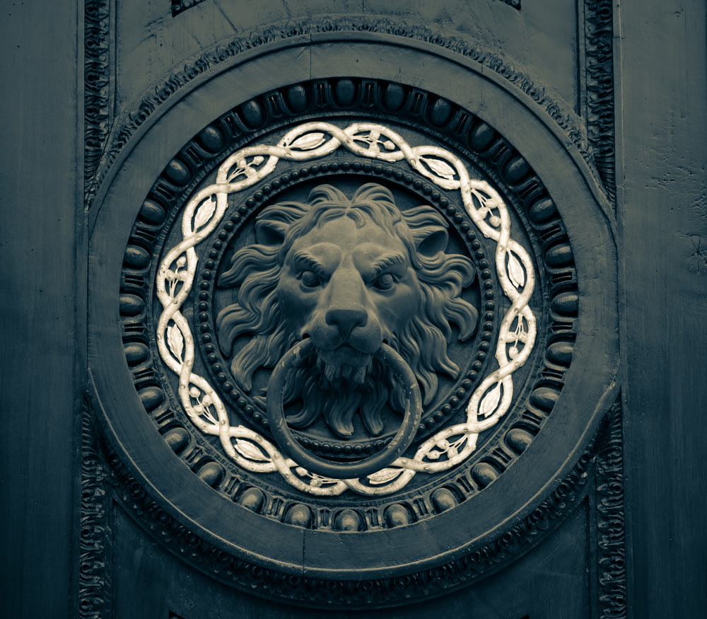 a lion's head in a circle on a door