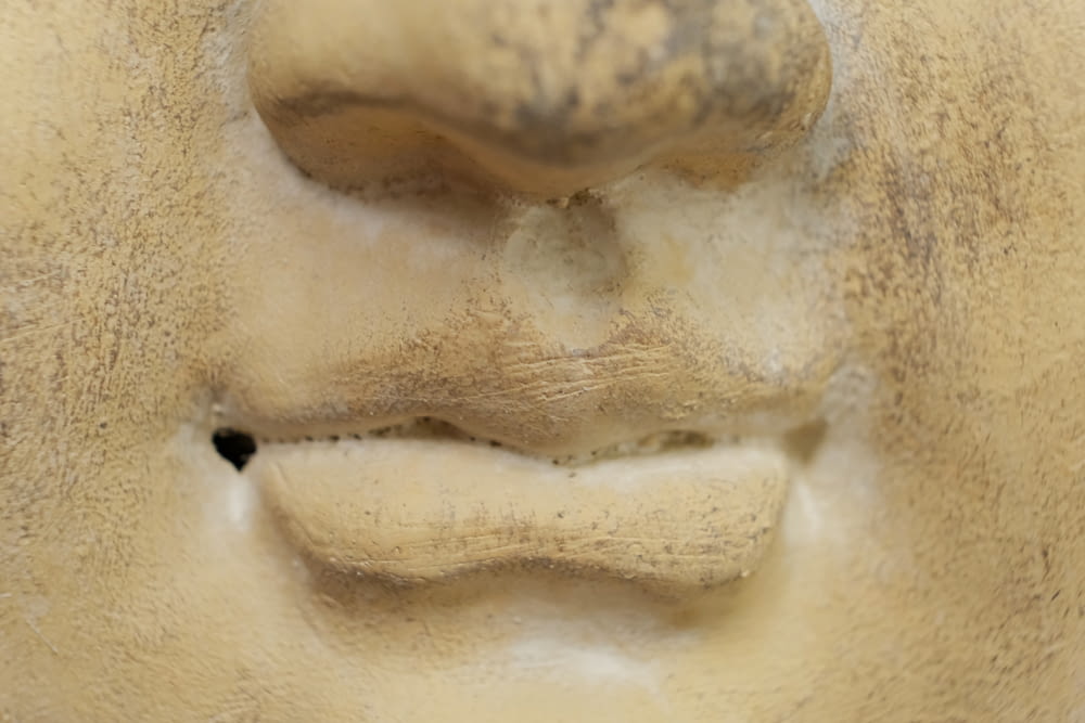 a close up of a statue of a person's face