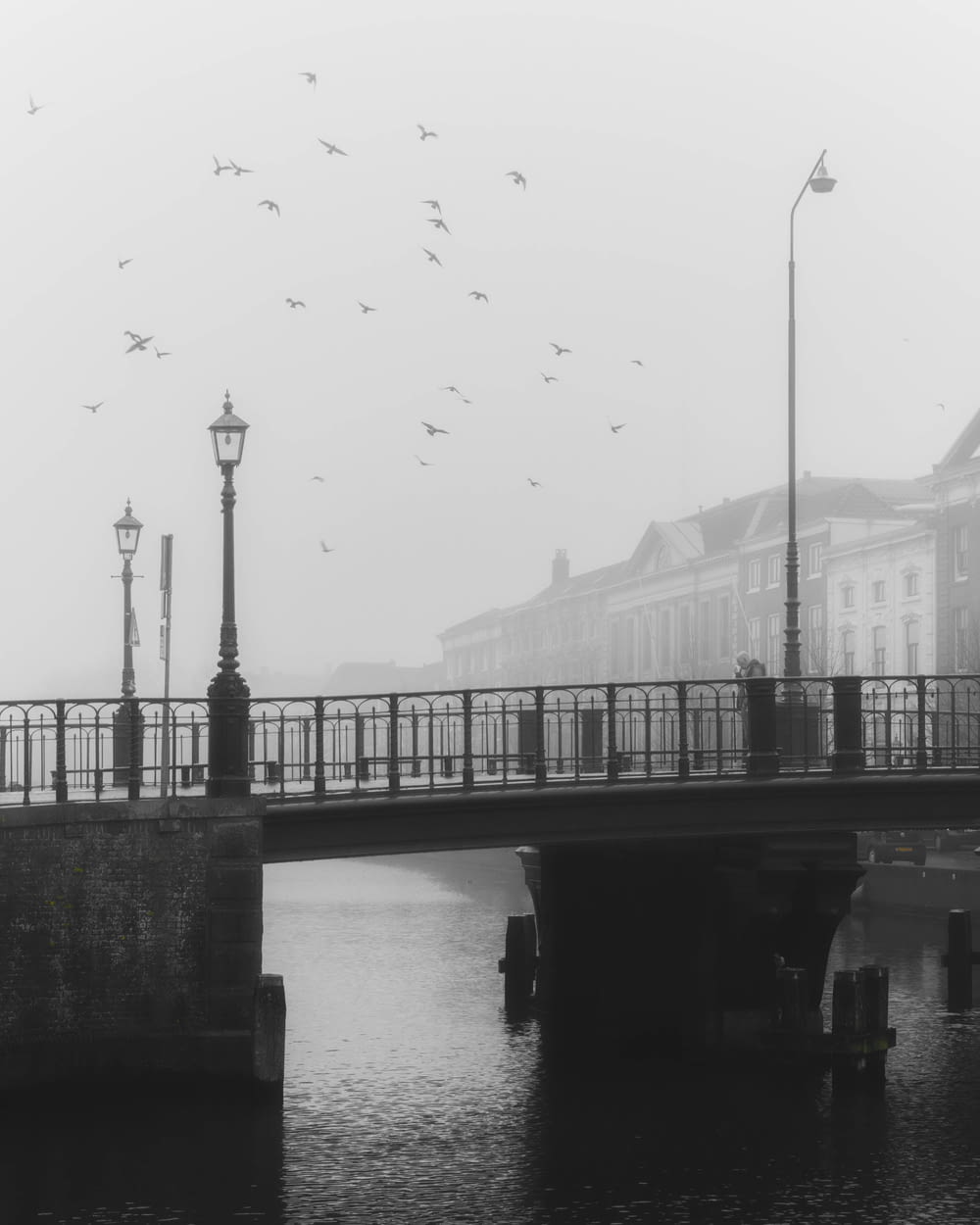 a black and white photo of birds flying over a bridge