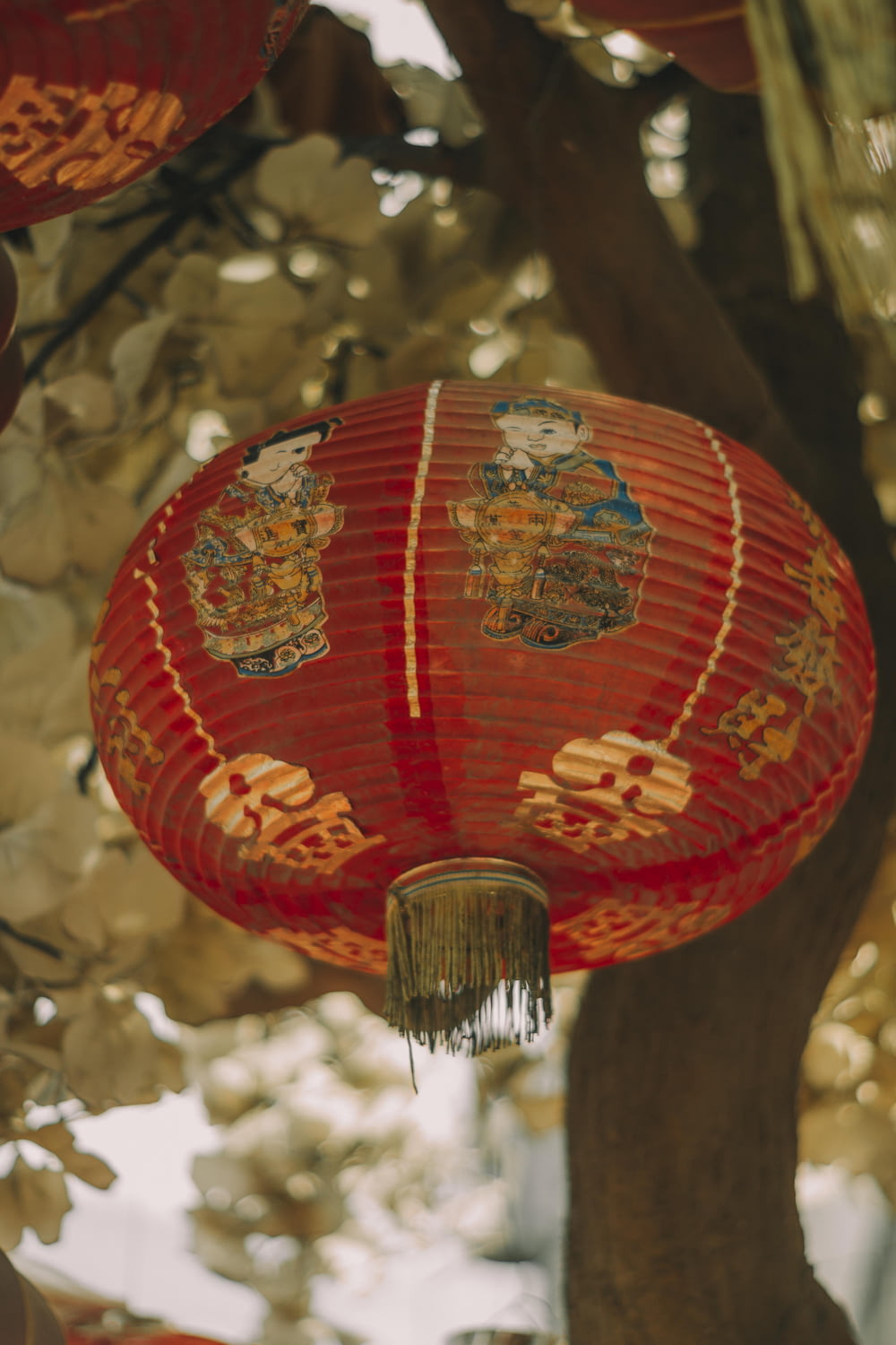 a red paper lantern hanging from a tree