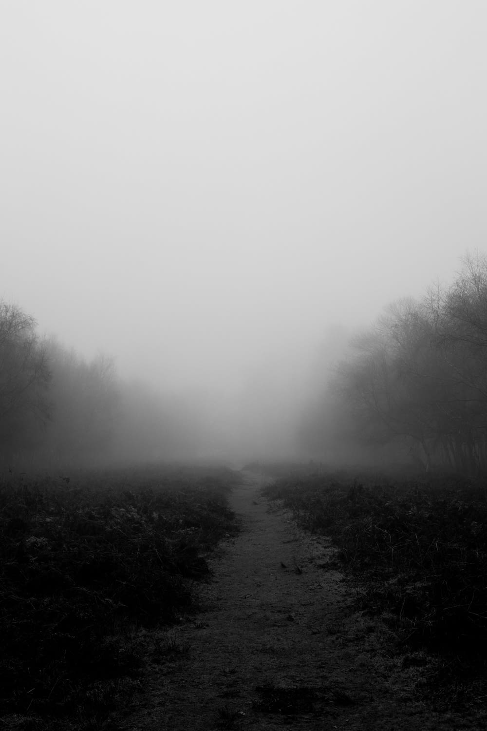 a black and white photo of a foggy path