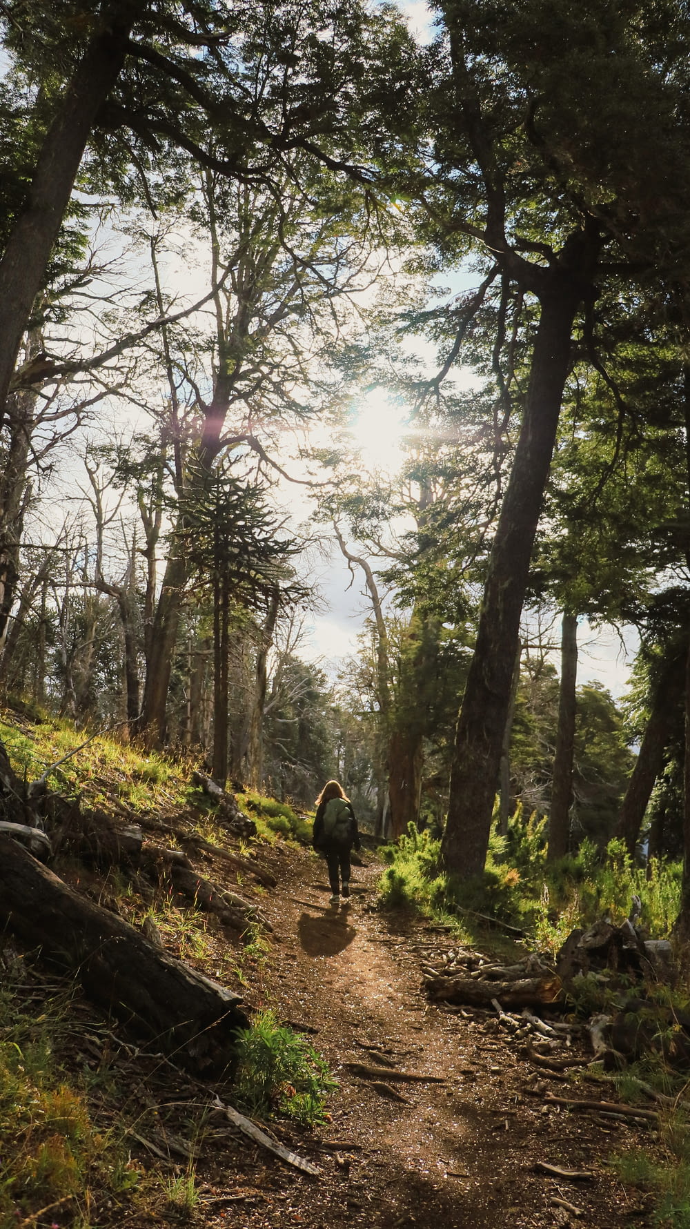 a person walking down a trail in the woods
