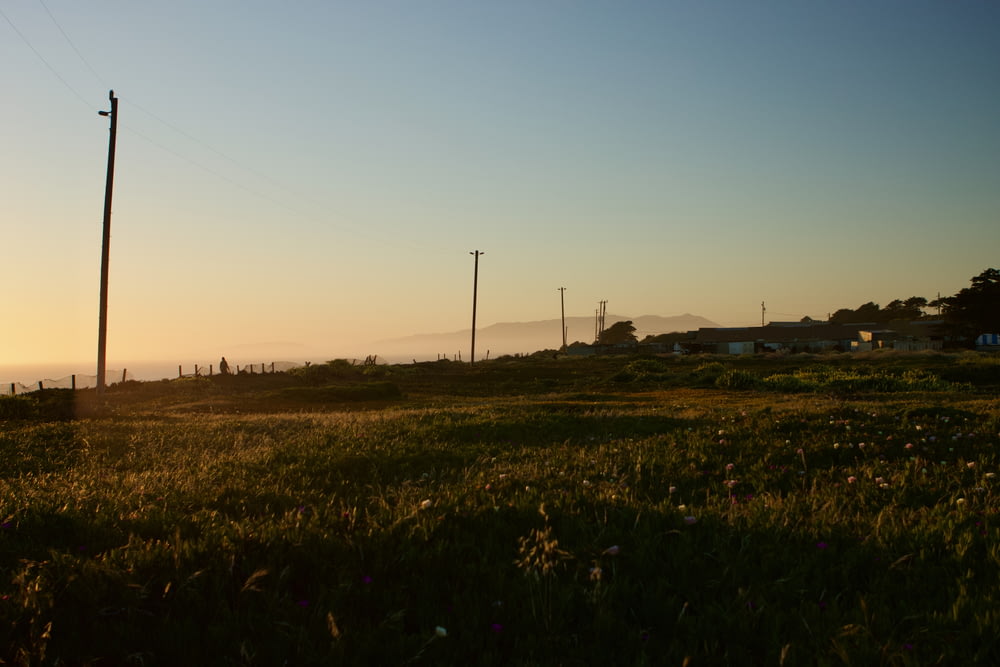 a grassy field with power lines in the distance