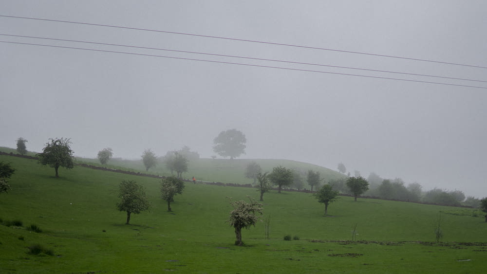 a foggy field with trees and hills in the background