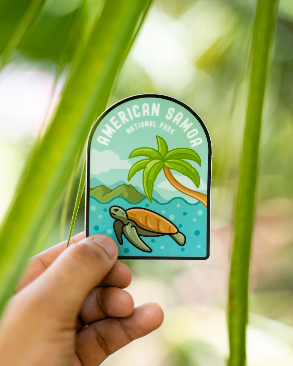 a hand holding a sticker with a picture of a turtle