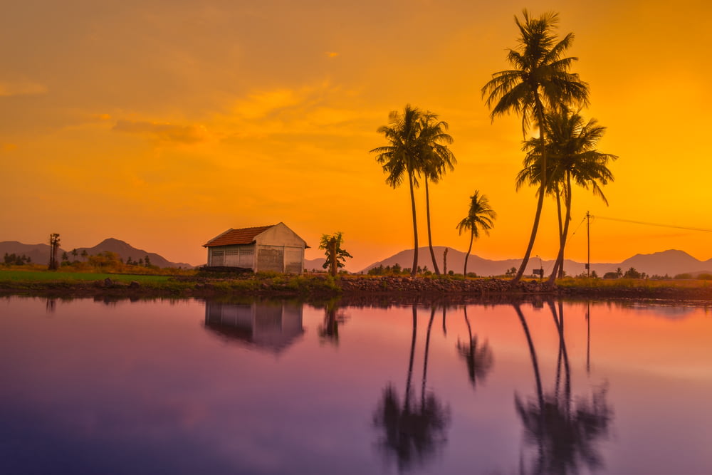 a beautiful sunset with palm trees reflecting in the water
