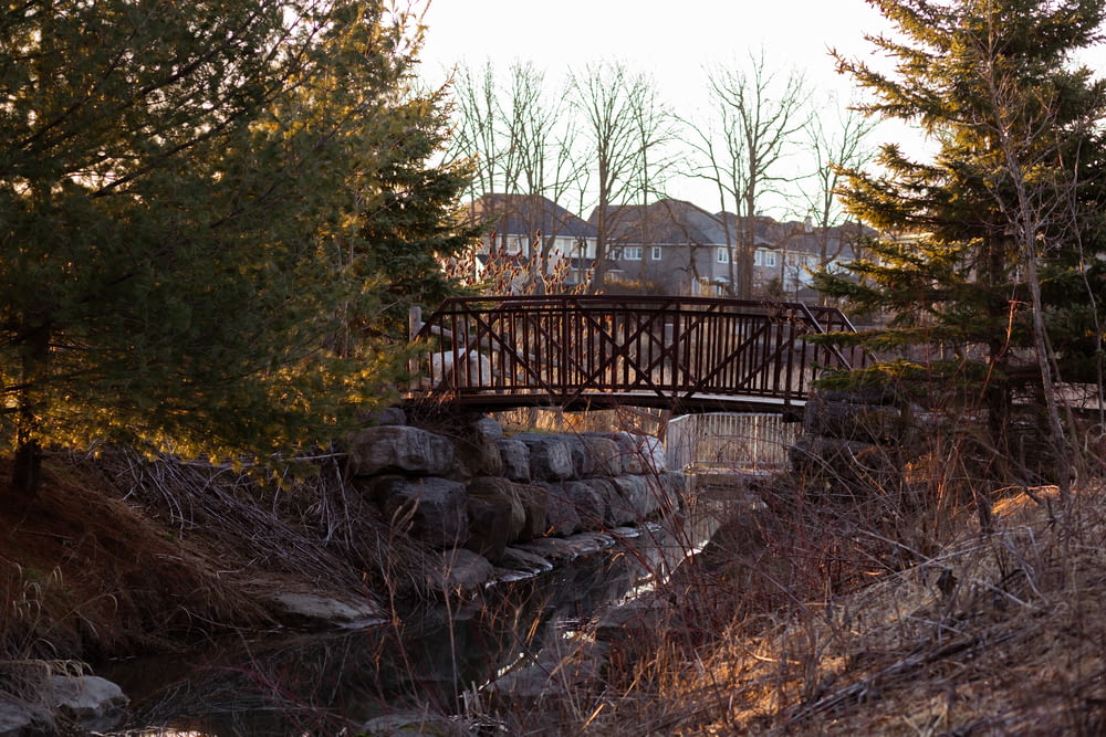 a wooden bridge over a small stream in a wooded area