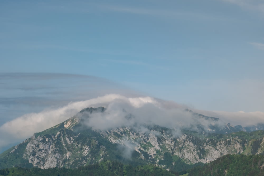 a mountain covered in clouds with trees in the foreground