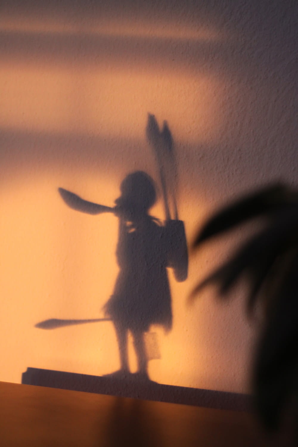 a shadow of a girl holding a sword and a shield
