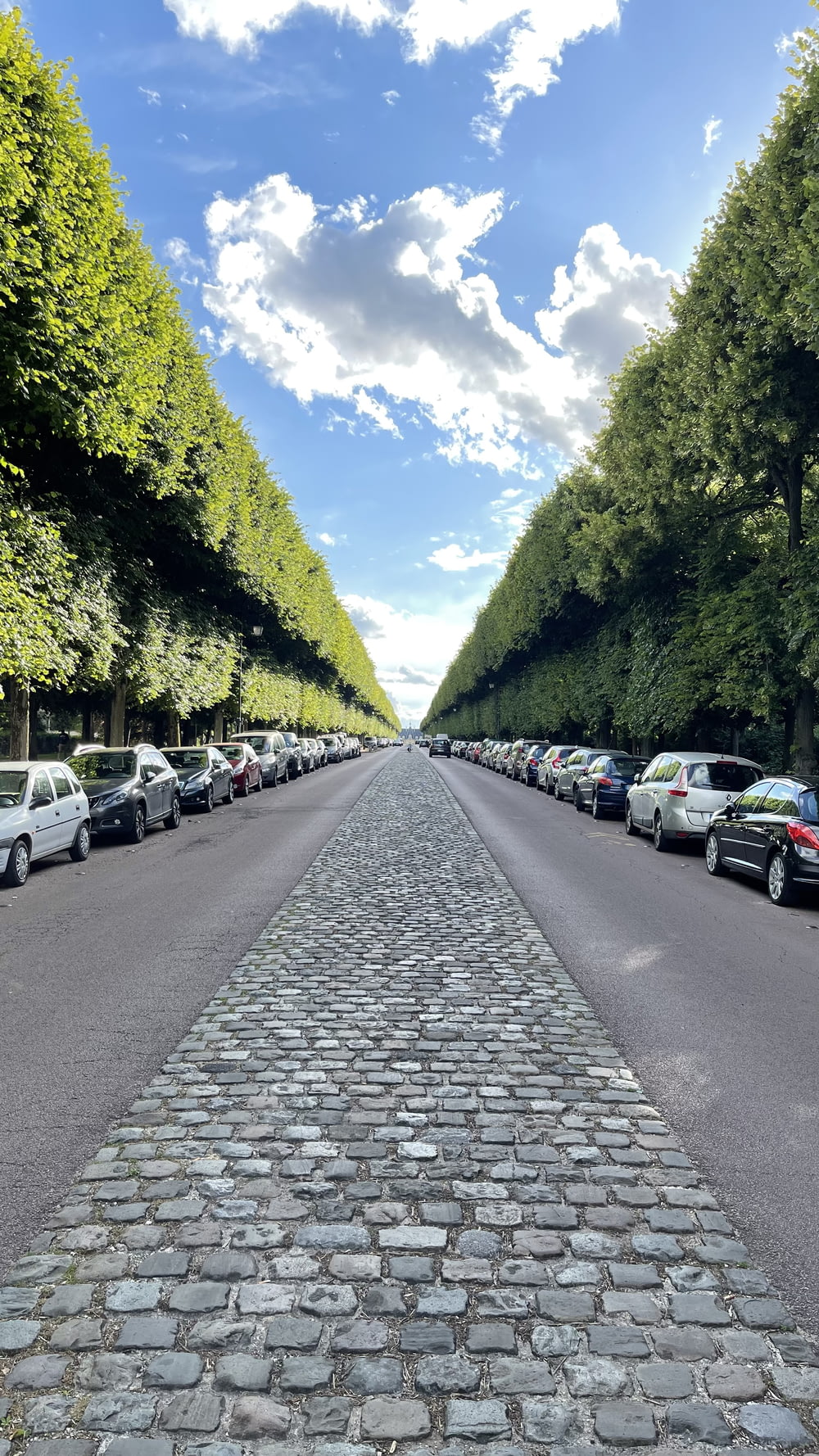 a cobblestone street lined with trees and parked cars
