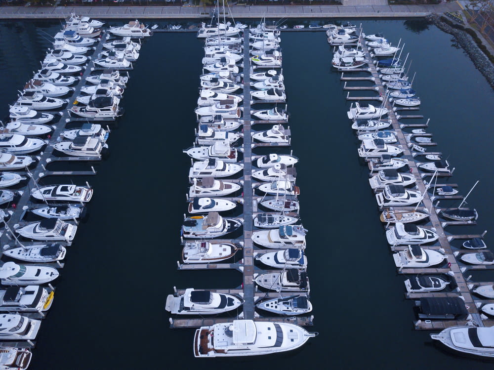 a large group of boats in a harbor