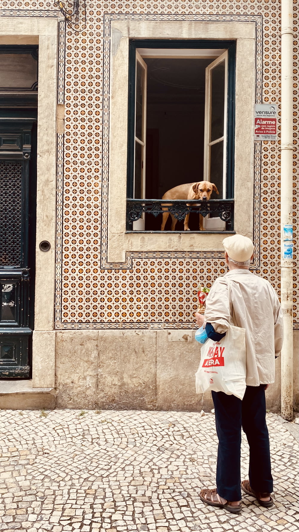 a man looking at a dog through a window