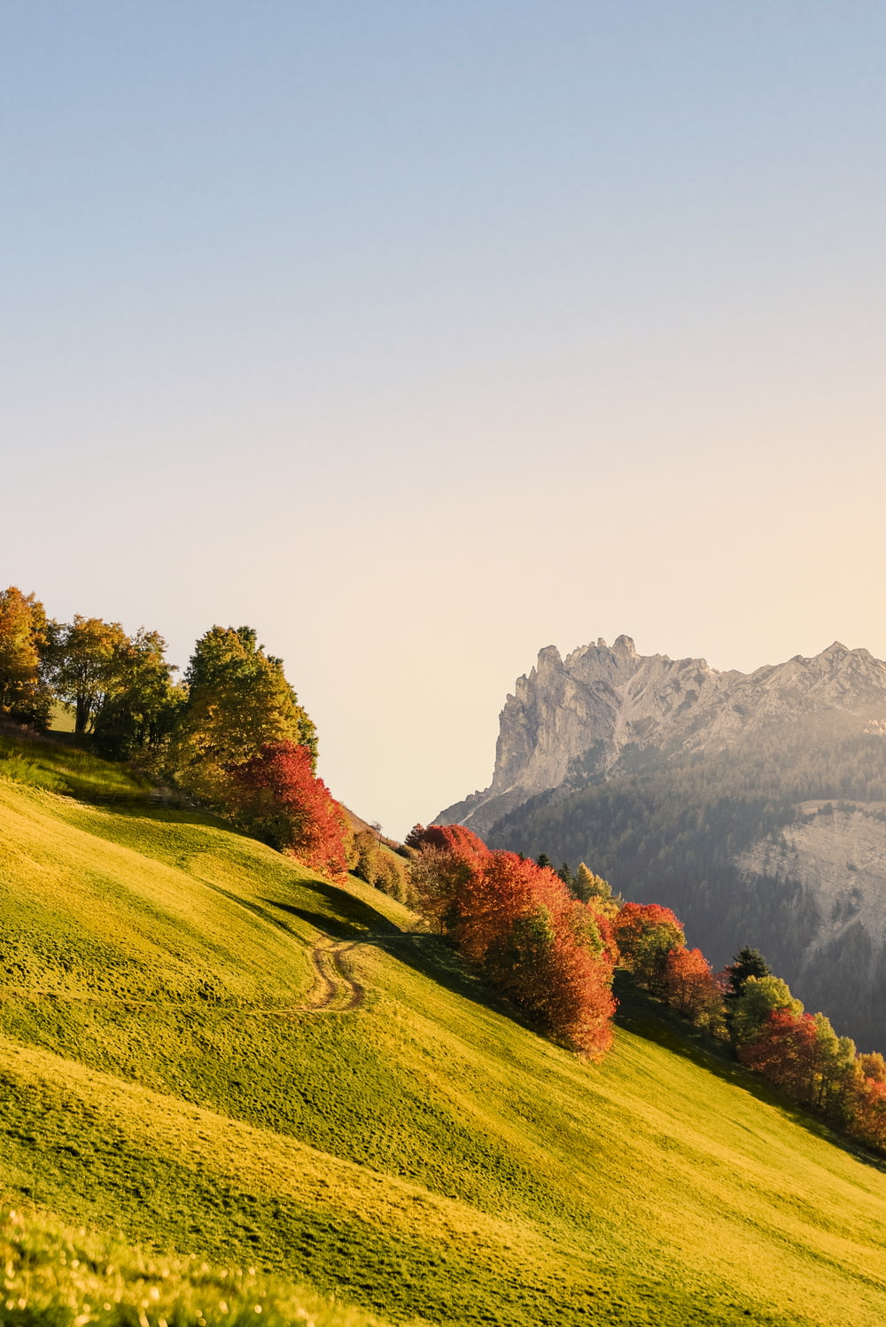 una collina erbosa con alberi e montagne sullo sfondo