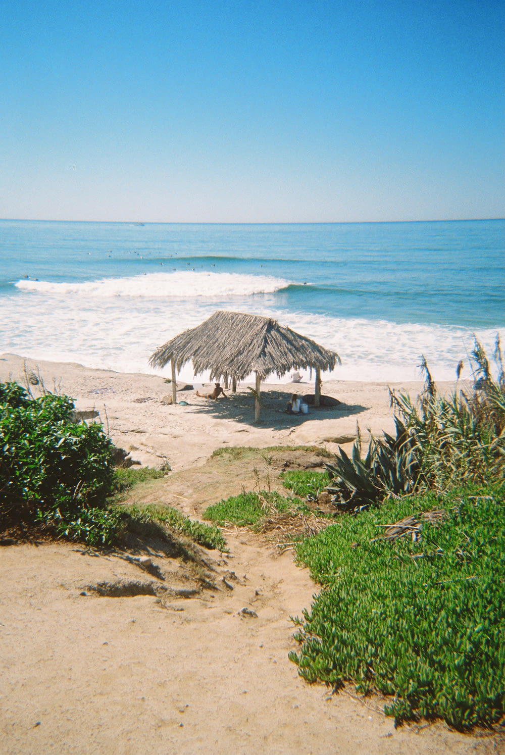 a beach with a hut