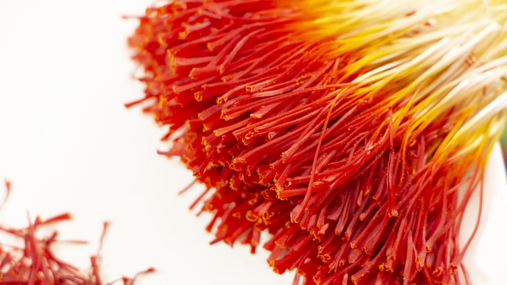 a close up of a red and yellow explosion