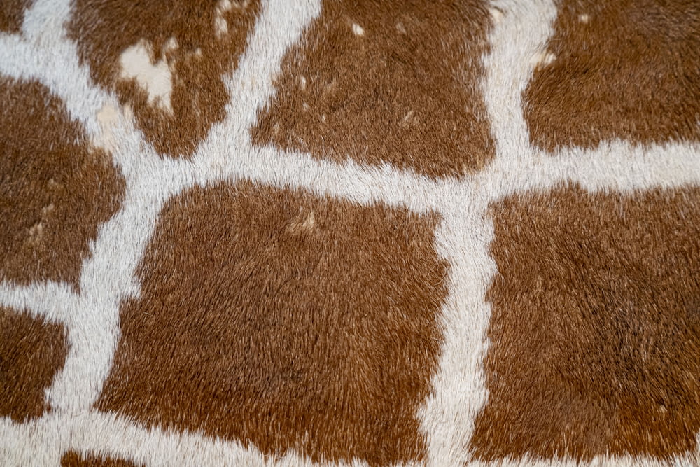 a close up of a rug