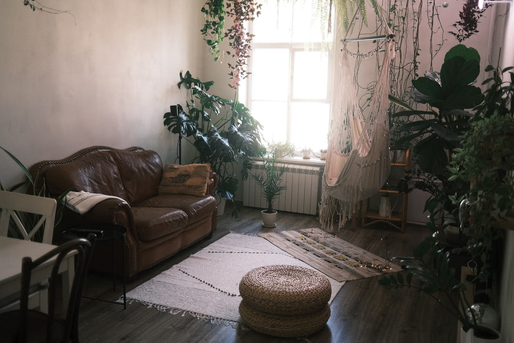 a living room with a couch and plants