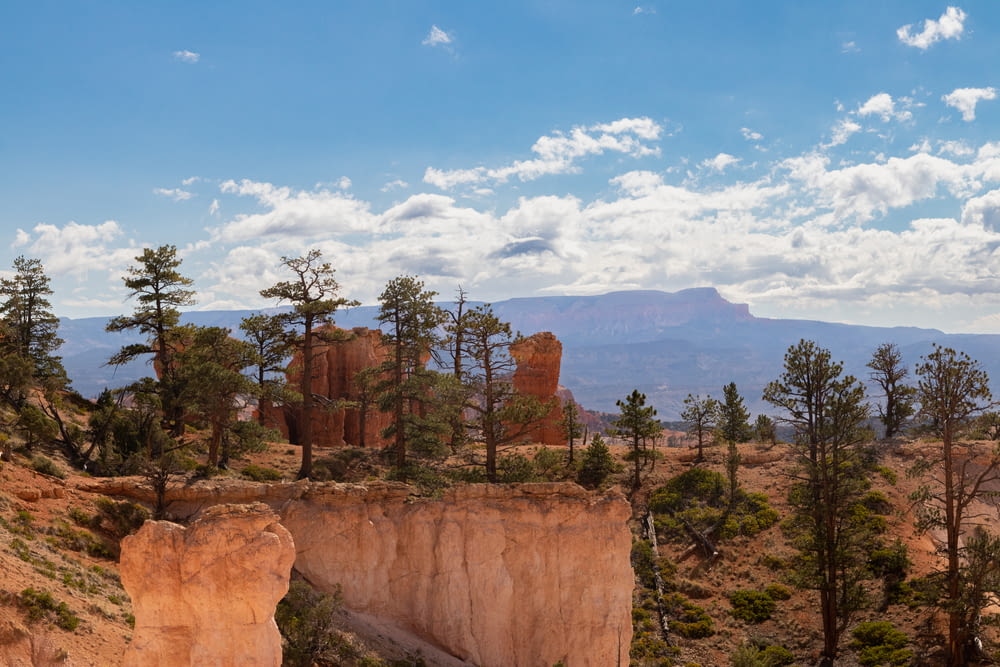 a landscape with trees and rocks with Bryce Canyon National Park in the background