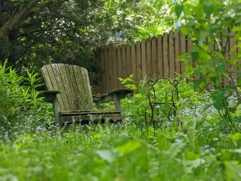 a chair and a table in a yard with plants and trees