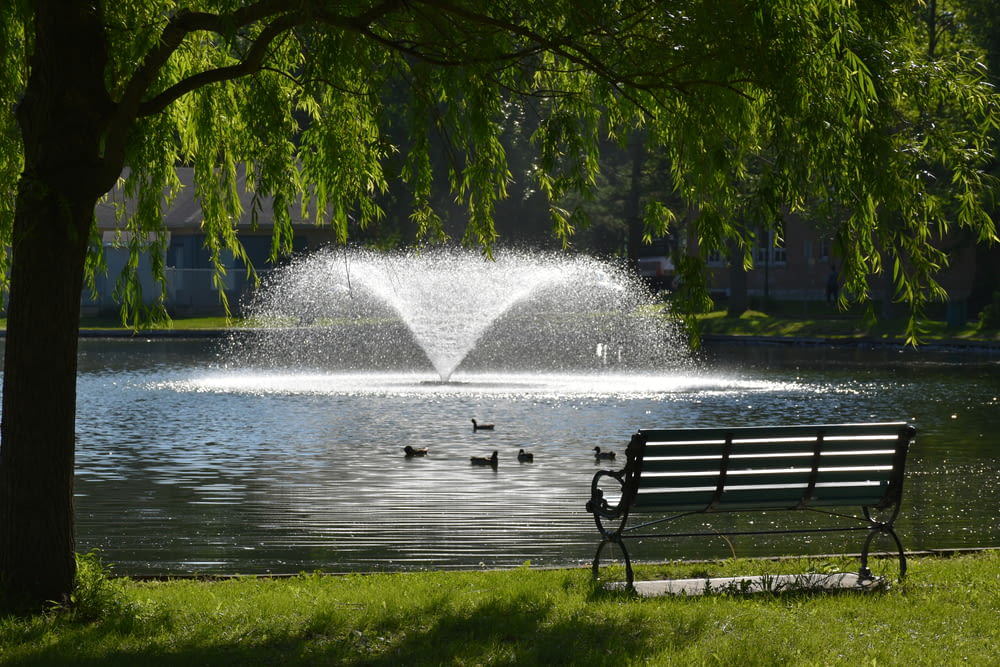 a bench in front of a fountain