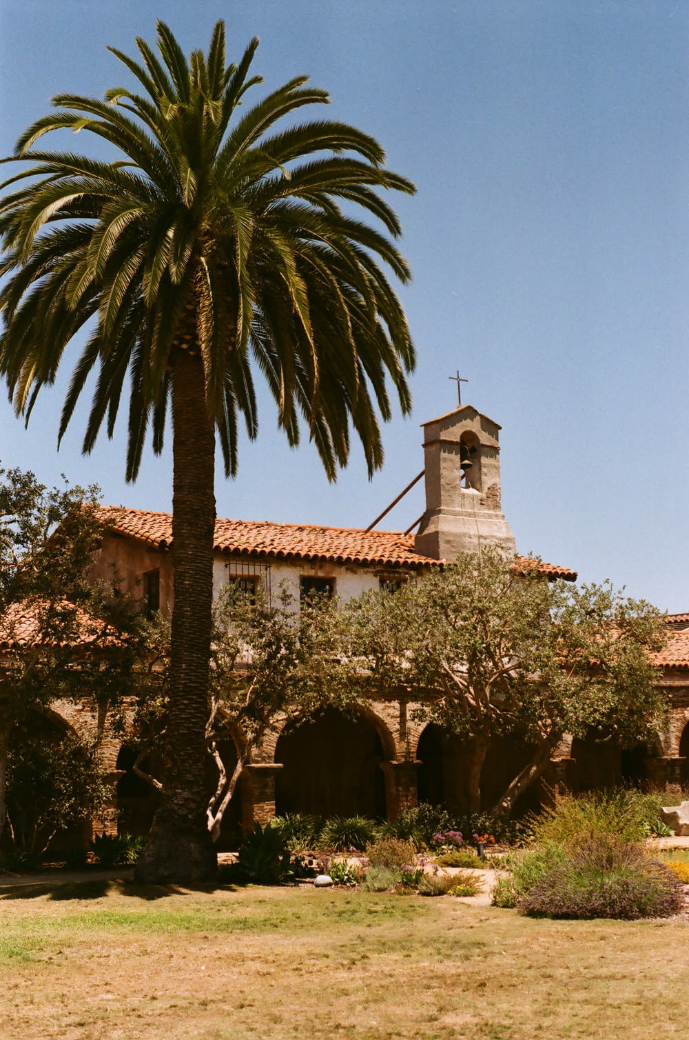 Eine Palme vor einer Kirche