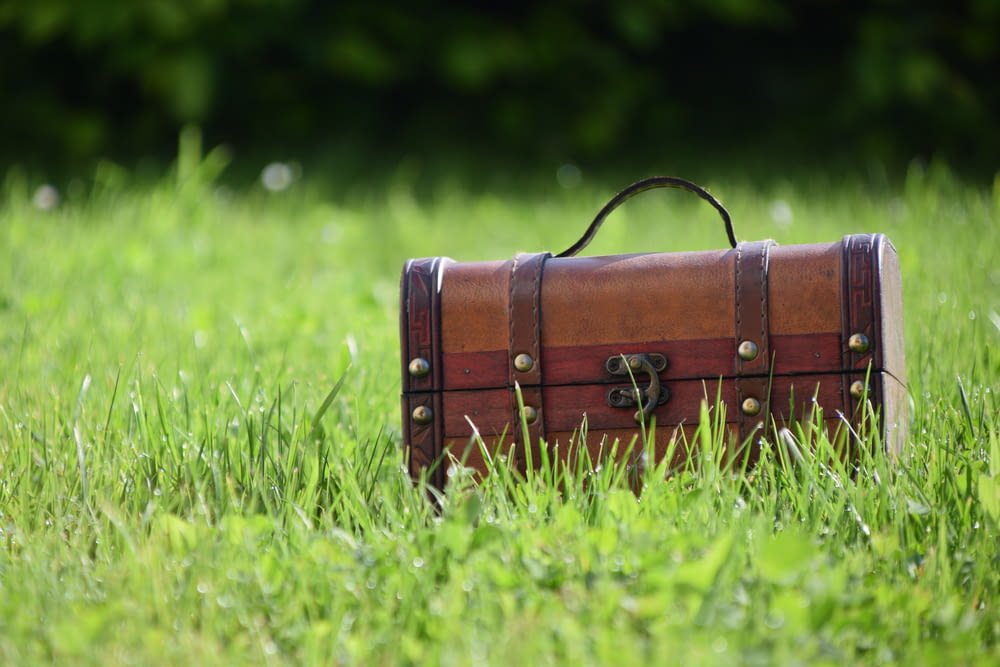 a suitcase in the grass
